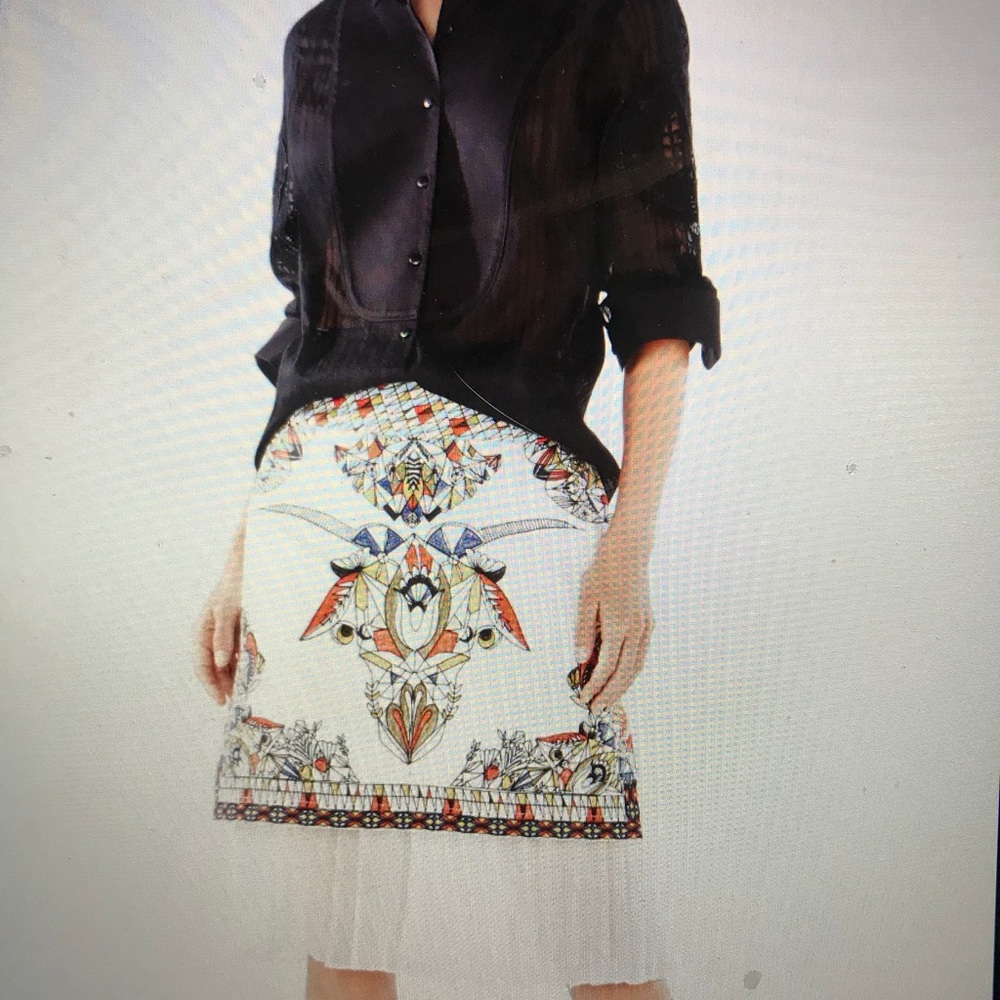 BCBG Maxazria Runway Skirt
